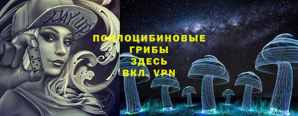 индика Балабаново