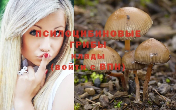 Альфа ПВП Аркадак
