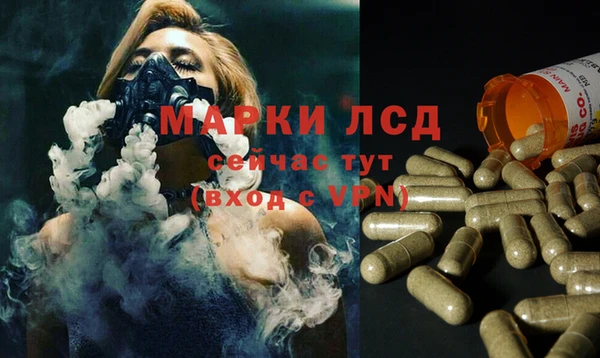 Альфа ПВП Аркадак