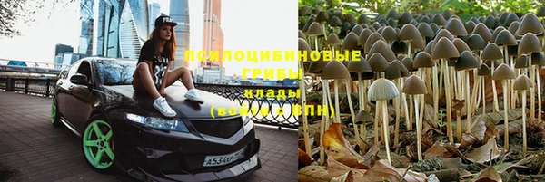 Альфа ПВП Аркадак