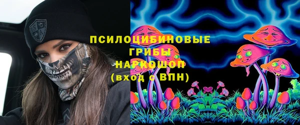 Альфа ПВП Аркадак