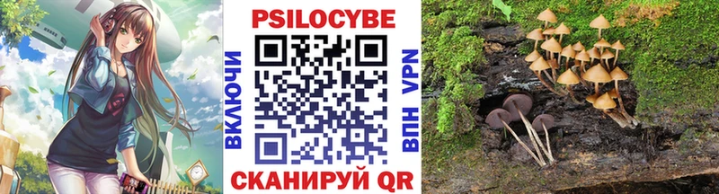 Галлюциногенные грибы прущие грибы MEGA маркетплейс Константиновск